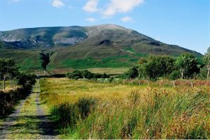 Charles Egan Author of Great Famine In Ireland Fiction Books