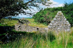 Charles Egan Author of Great Famine In Ireland Fiction Books